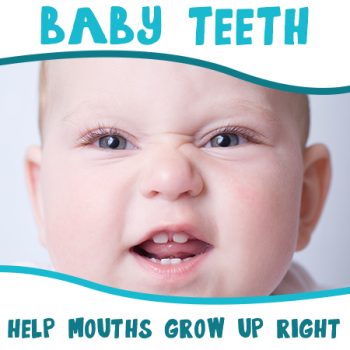 Watertown dentists at Family Dental Practice, discuss the importance of baby teeth in setting the stage for good oral health later in life.